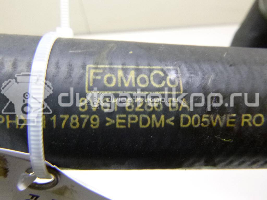Фото Патрубок радиатора  8V618286BA для Ford Focus / C-Max {forloop.counter}}