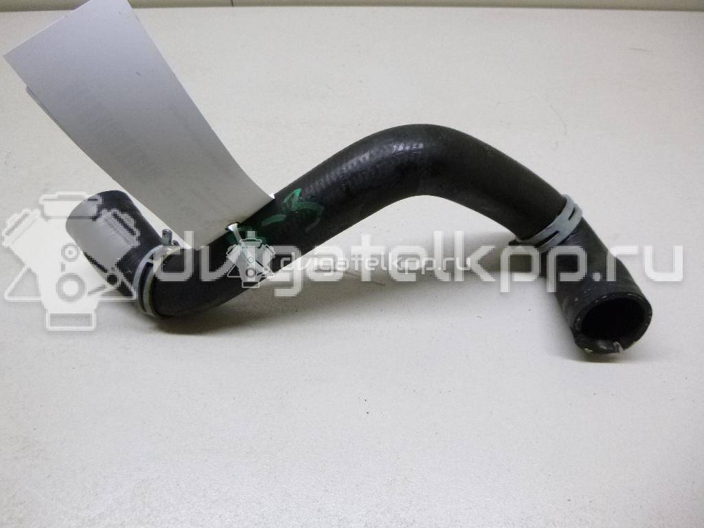 Фото Патрубок радиатора  8V618286BA для Ford Focus / C-Max {forloop.counter}}