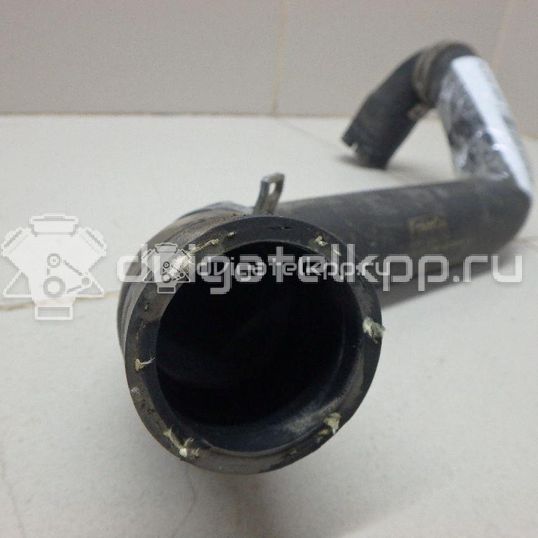 Фото Патрубок радиатора  8v618286ba для Ford Focus / C-Max