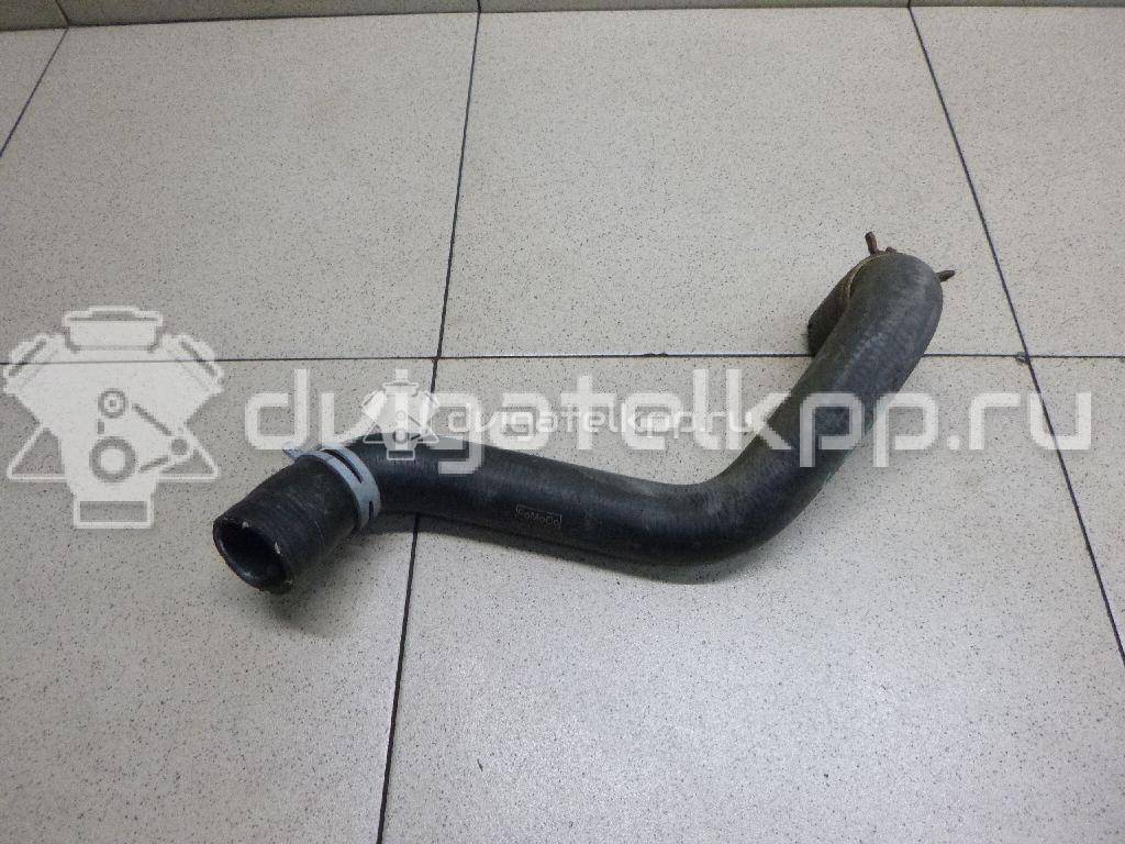 Фото Патрубок радиатора  8V618286BA для Ford Focus / C-Max {forloop.counter}}