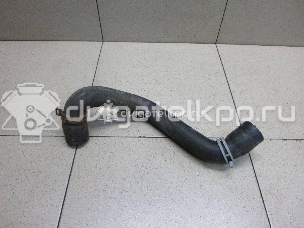 Фото Патрубок радиатора  8V618286BA для Ford Focus / C-Max {forloop.counter}}