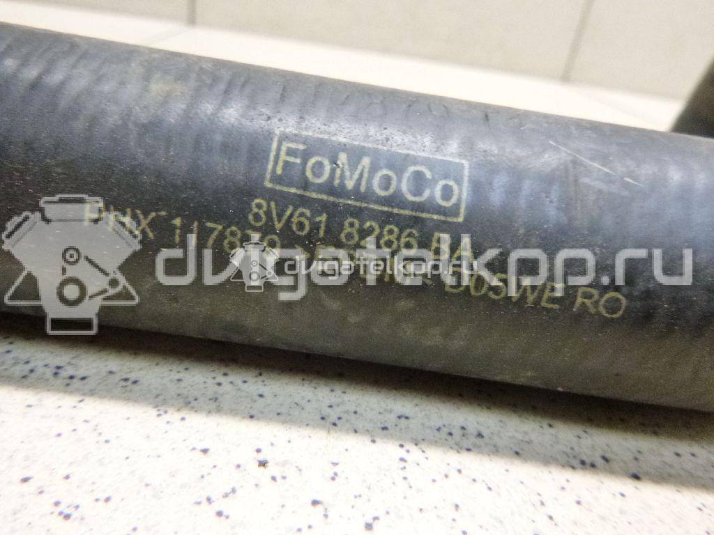 Фото Патрубок радиатора  8V618286BA для Ford Focus / C-Max {forloop.counter}}