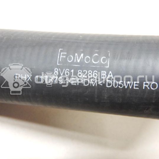 Фото Патрубок радиатора  8v618286ba для Ford Focus / C-Max