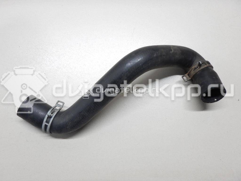 Фото Патрубок радиатора  8v618286ba для Ford Focus / C-Max {forloop.counter}}