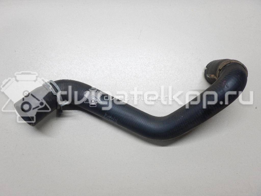 Фото Патрубок радиатора  8v618286ba для Ford Focus / C-Max {forloop.counter}}