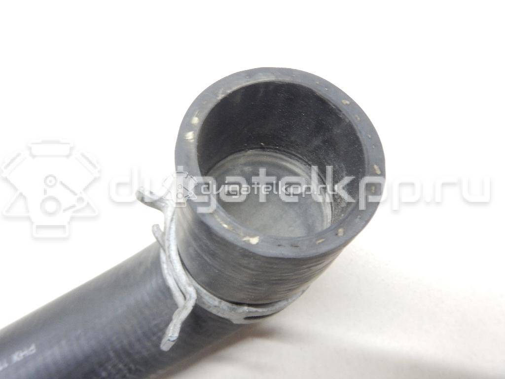 Фото Патрубок радиатора  8v618286ba для Ford Focus / C-Max {forloop.counter}}