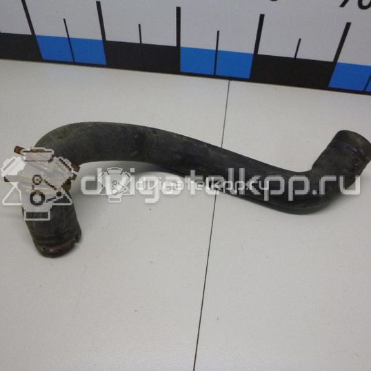 Фото Патрубок радиатора  8v618286ba для Ford Focus / C-Max