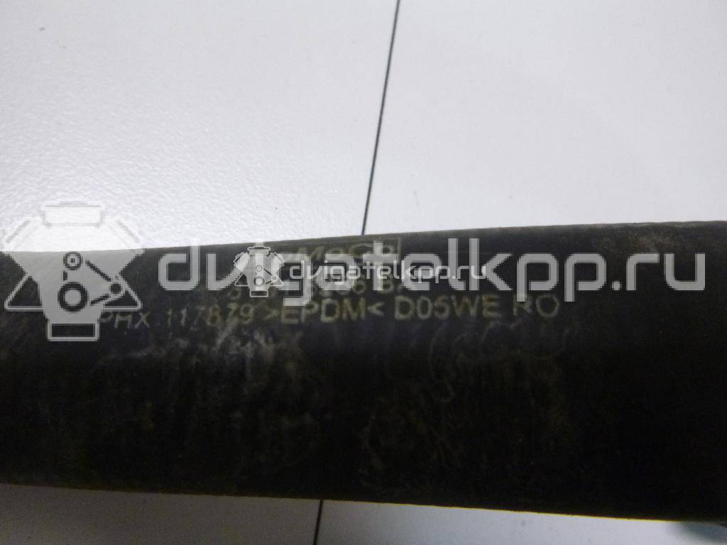 Фото Патрубок радиатора  8v618286ba для Ford Focus / C-Max {forloop.counter}}
