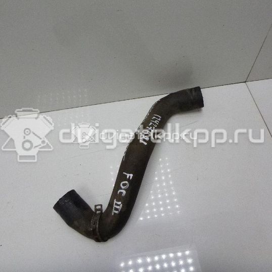 Фото Патрубок радиатора  8v618286ba для Ford Focus / C-Max