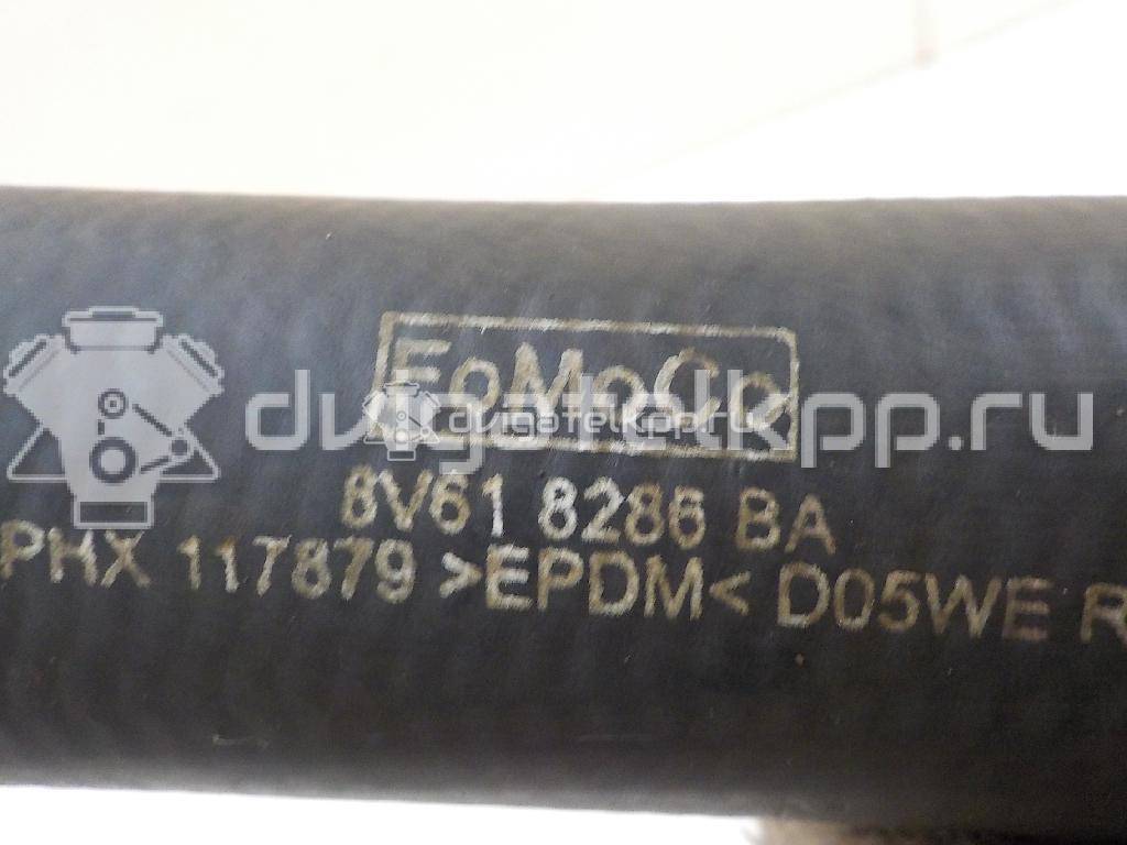 Фото Патрубок радиатора  1684922 для Ford Focus / C-Max {forloop.counter}}