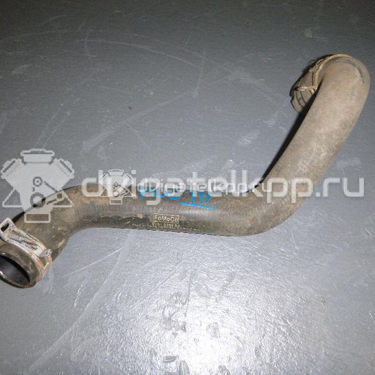 Фото Патрубок радиатора  8v618286ba для Ford Focus / C-Max