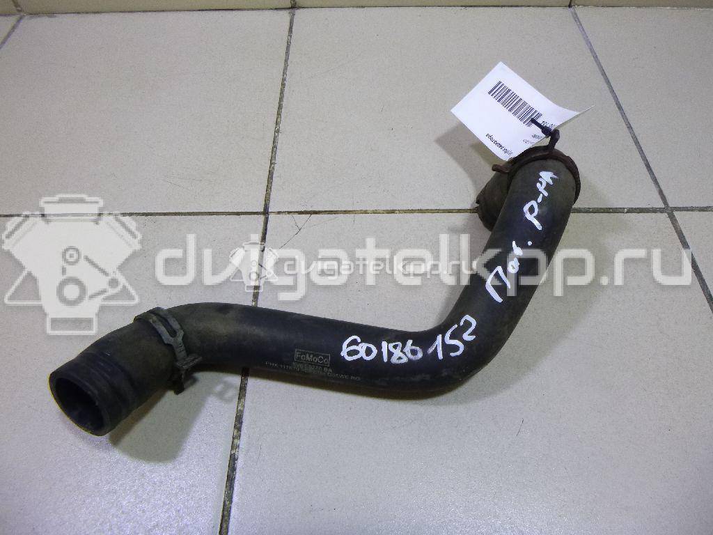 Фото Патрубок радиатора  8v618286ba для Ford Focus / C-Max {forloop.counter}}
