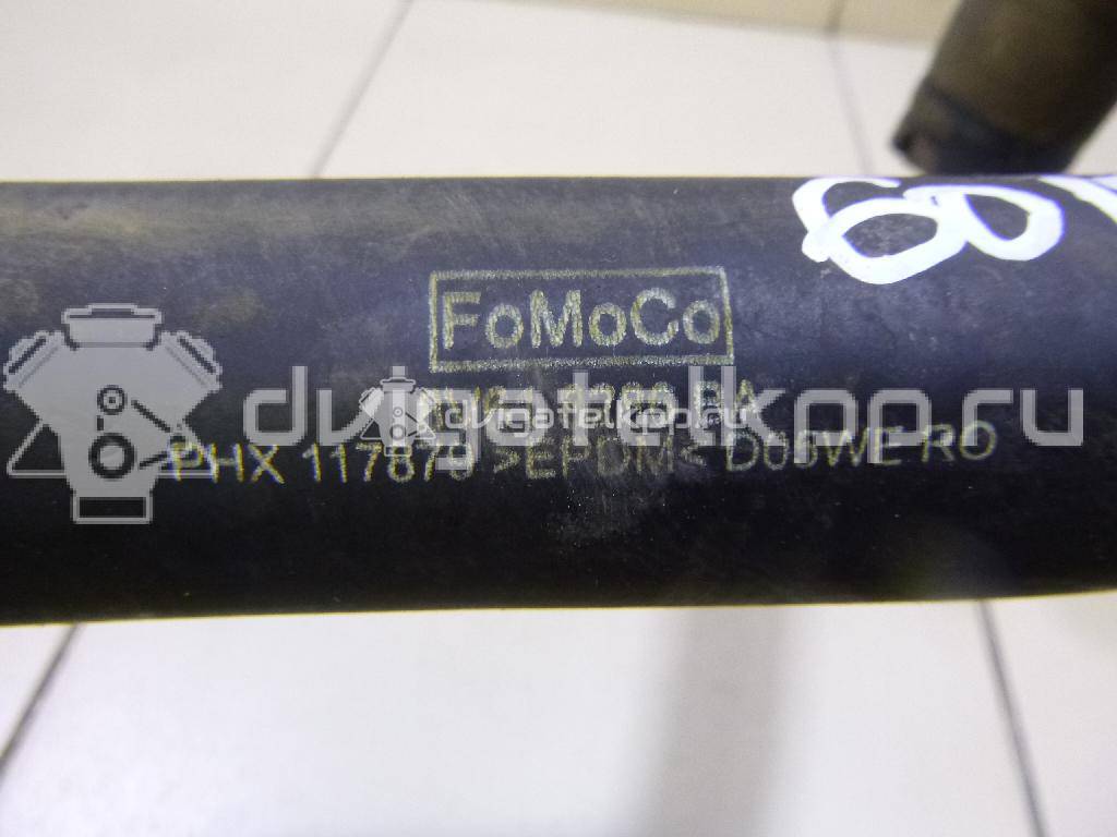 Фото Патрубок радиатора  8v618286ba для Ford Focus / C-Max {forloop.counter}}