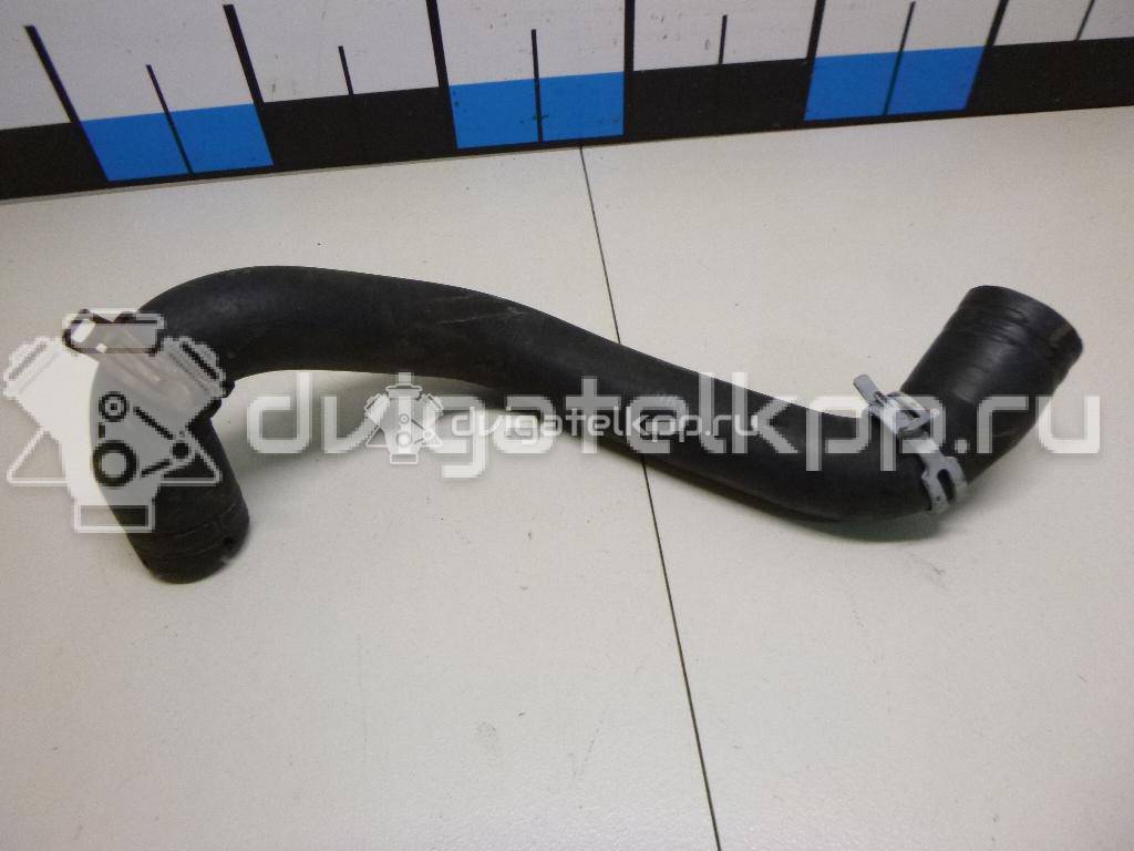 Фото Патрубок радиатора  8V618286BA для Ford Focus / C-Max {forloop.counter}}