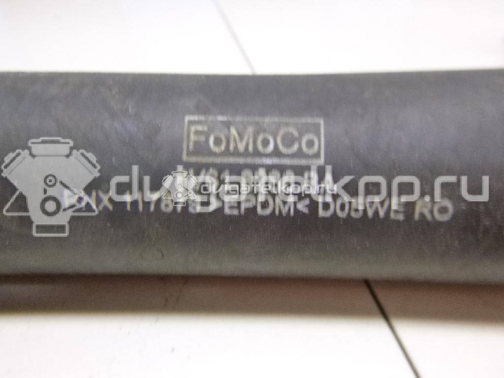 Фото Патрубок радиатора  8V618286BA для Ford Focus / C-Max {forloop.counter}}