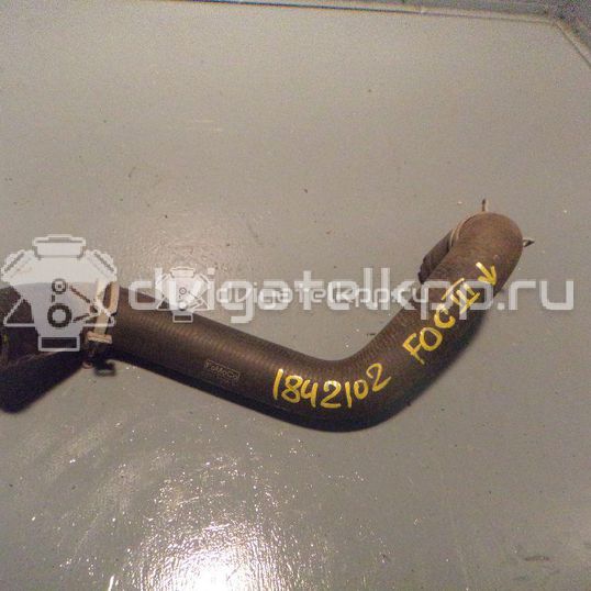 Фото Патрубок радиатора  8V618286BA для Ford Focus / C-Max