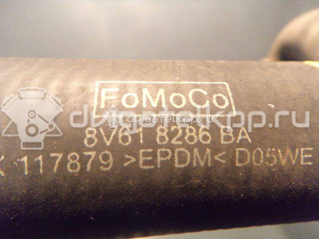 Фото Патрубок радиатора  8V618286BA для Ford Focus / C-Max {forloop.counter}}