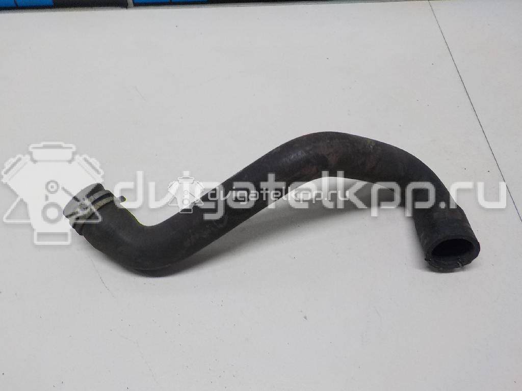 Фото Патрубок радиатора  8V618286BA для Ford Focus / C-Max {forloop.counter}}