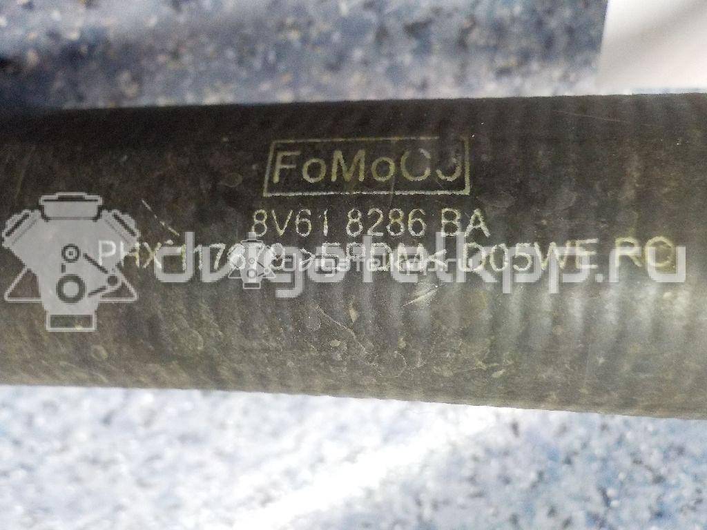 Фото Патрубок радиатора  8v618286ba для Ford Focus / C-Max {forloop.counter}}