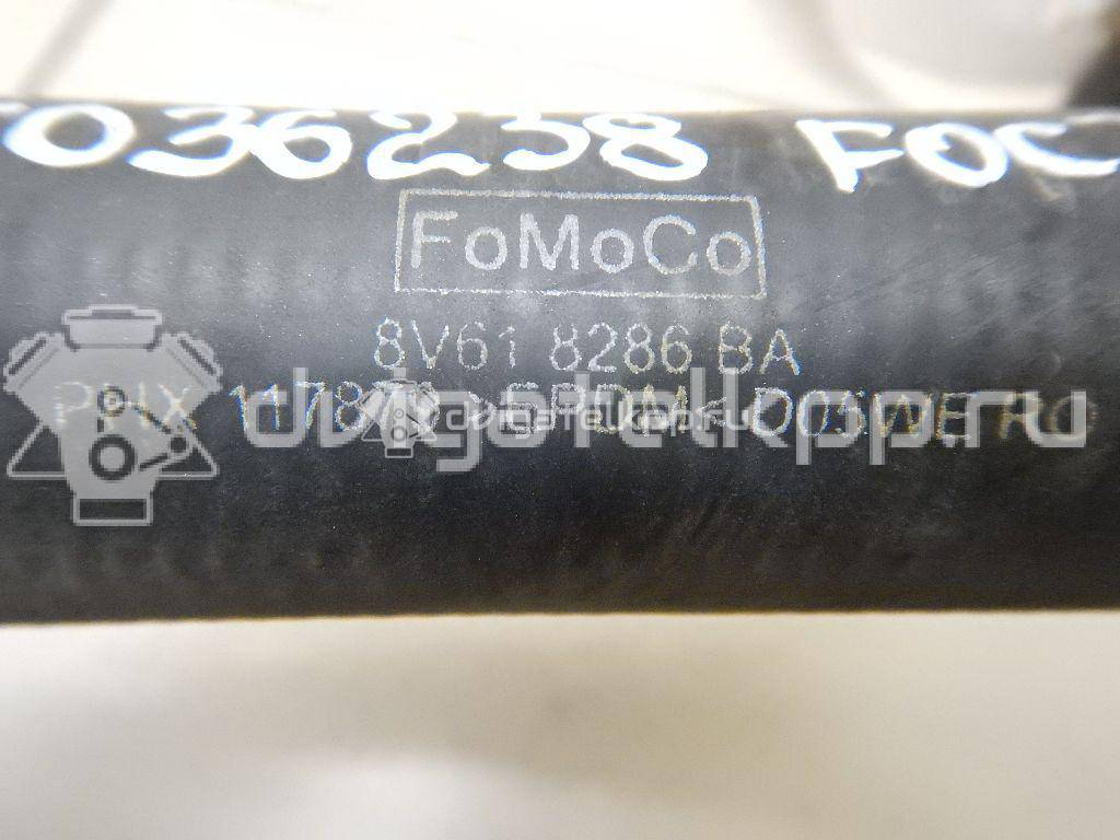 Фото Патрубок радиатора  1684922 для Ford Focus / C-Max {forloop.counter}}