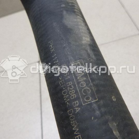 Фото Патрубок радиатора  1684922 для Ford Focus / C-Max