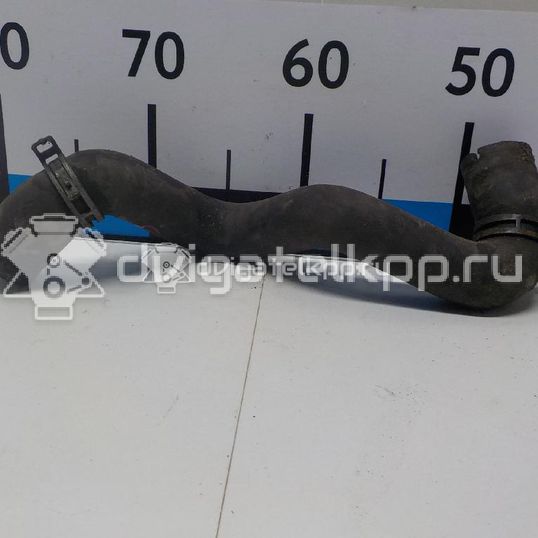 Фото Патрубок радиатора  1684922 для Ford Focus / C-Max