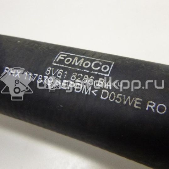 Фото Патрубок радиатора  1684922 для Ford Focus / C-Max