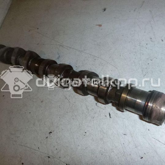 Фото Распредвал впускной для двигателя NFX (TU5JP4) для Citroen C3 / C4 / Saxo S0, S1 109-120 л.с 16V 1.6 л Бензин/спирт 0801Z0