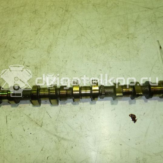 Фото Распредвал выпускной для двигателя NFT (TU5JP) для Citroen Saxo S0, S1 98-101 л.с 8V 1.6 л бензин 0801Z1