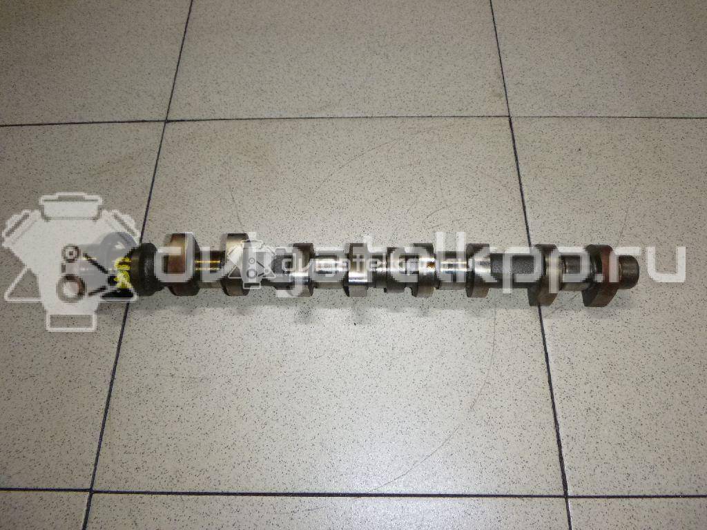 Фото Распредвал выпускной для двигателя NFT (TU5JP) для Citroen Saxo S0, S1 98-101 л.с 8V 1.6 л бензин 0801Z1 {forloop.counter}}