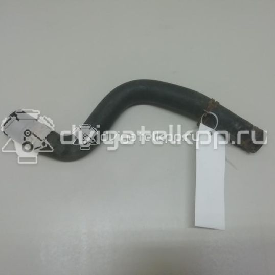 Фото Патрубок радиатора  1546453 для Ford Fiesta / Fusion Ju