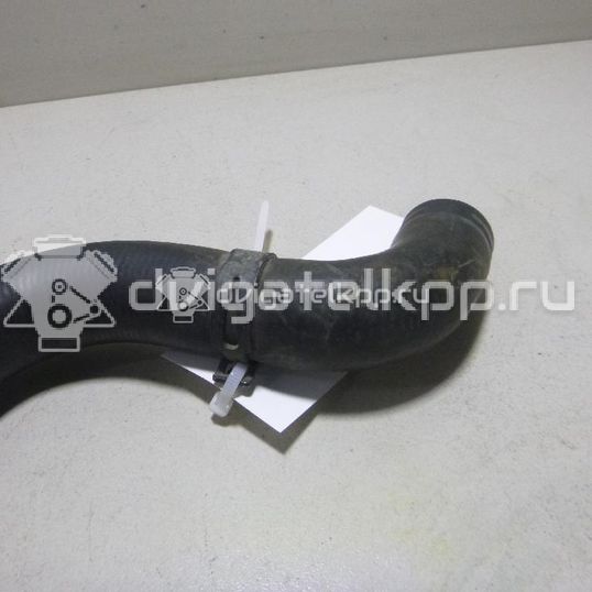 Фото Патрубок радиатора  1546453 для Ford Fiesta / Fusion Ju