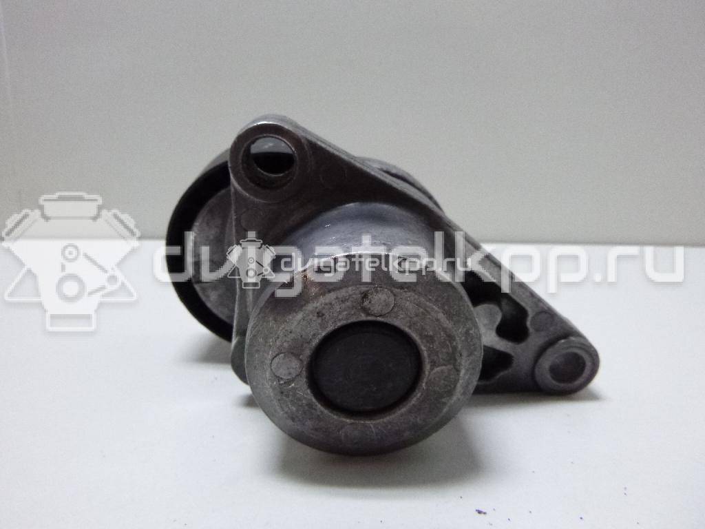 Фото Натяжитель ремня для двигателя NFX (TU5JP4) для Citroen C3 / C4 / Saxo S0, S1 109-120 л.с 16V 1.6 л Бензин/спирт {forloop.counter}}