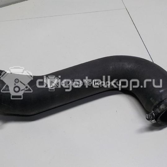 Фото Патрубок интеркулера для двигателя RHF (DW10BTED4) для Citroen C4 / C5 136-140 л.с 16V 2.0 л Дизельное топливо 0382GZ