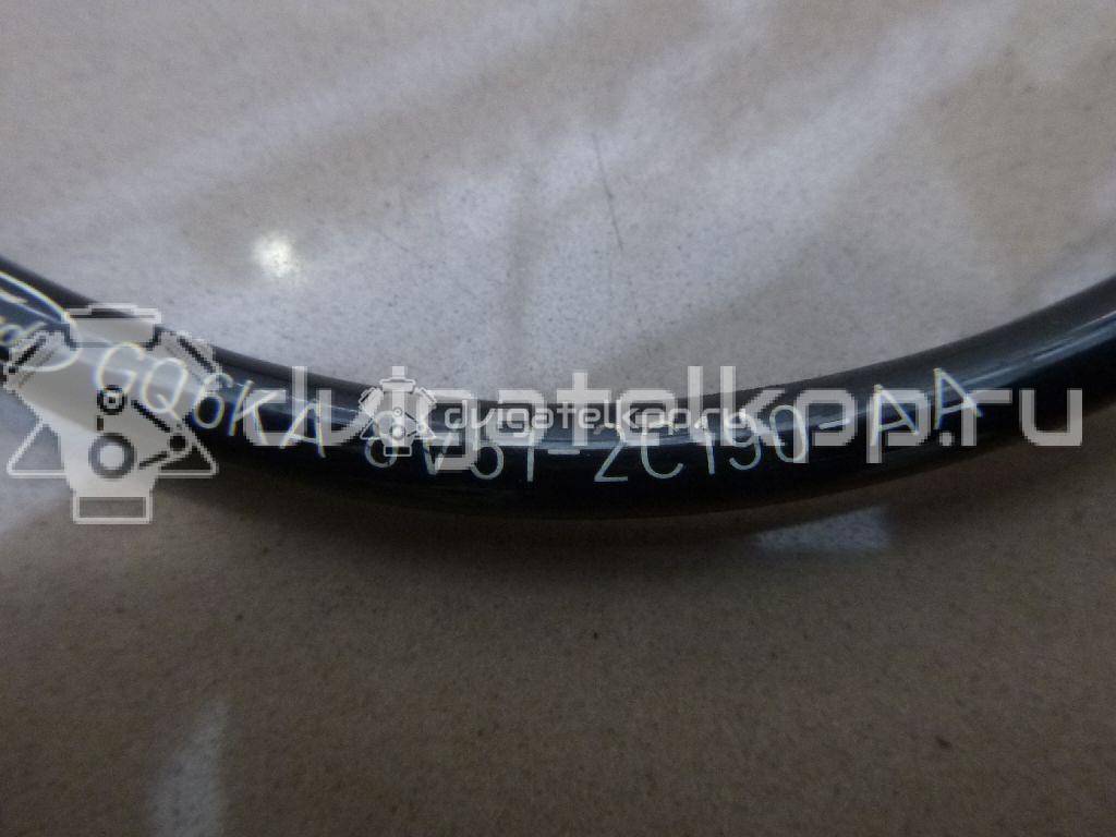 Фото Датчик ABS задний  8V512C190AA для Ford Fiesta / Ecosport / Ka {forloop.counter}}