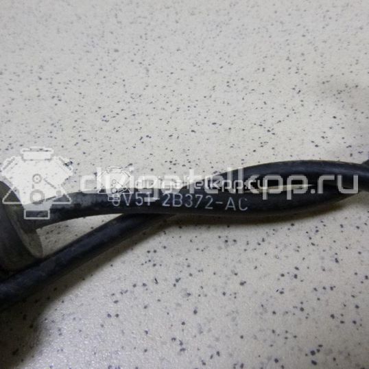 Фото Датчик ABS задний  8v512b372ac для Ford Fiesta / Ecosport / Ka