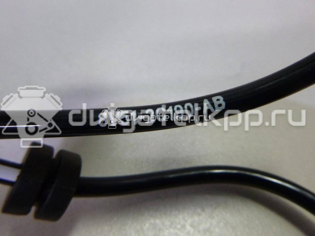 Фото Датчик ABS задний  8V512C190AB для Ford Fiesta / Ecosport / Ka {forloop.counter}}