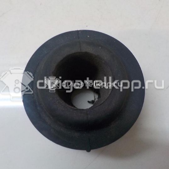 Фото Подушка радиатора  1070136 для Ford Focus / Tourneo / Transit