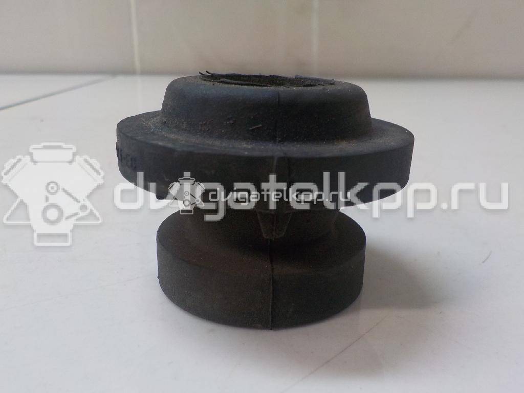 Фото Подушка радиатора  1070136 для Ford Focus / Tourneo / Transit {forloop.counter}}