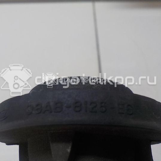 Фото Подушка радиатора  1070136 для Ford Focus / Tourneo / Transit