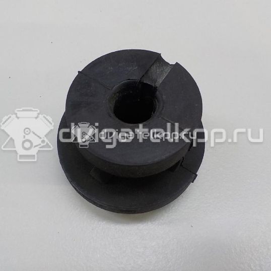 Фото Подушка радиатора  1070136 для Ford Focus / Tourneo / Transit