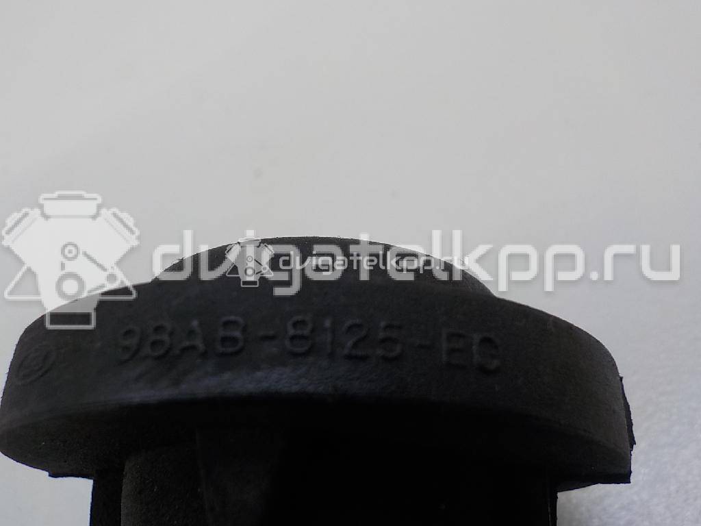 Фото Подушка радиатора  1070136 для Ford Focus / Tourneo / Transit {forloop.counter}}