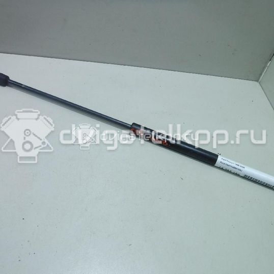 Фото Амортизатор двери багажника  XS41N406A10AJ для Ford Focus