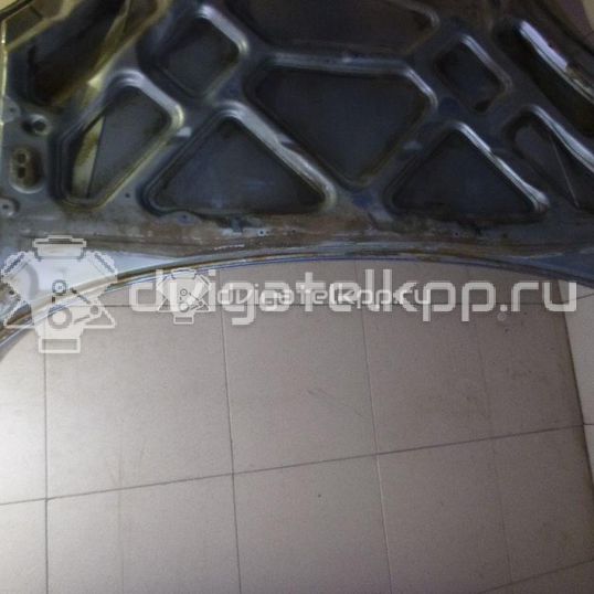 Фото Капот  1368555 для Ford Focus