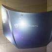 Фото Капот  1368555 для Ford Focus {forloop.counter}}