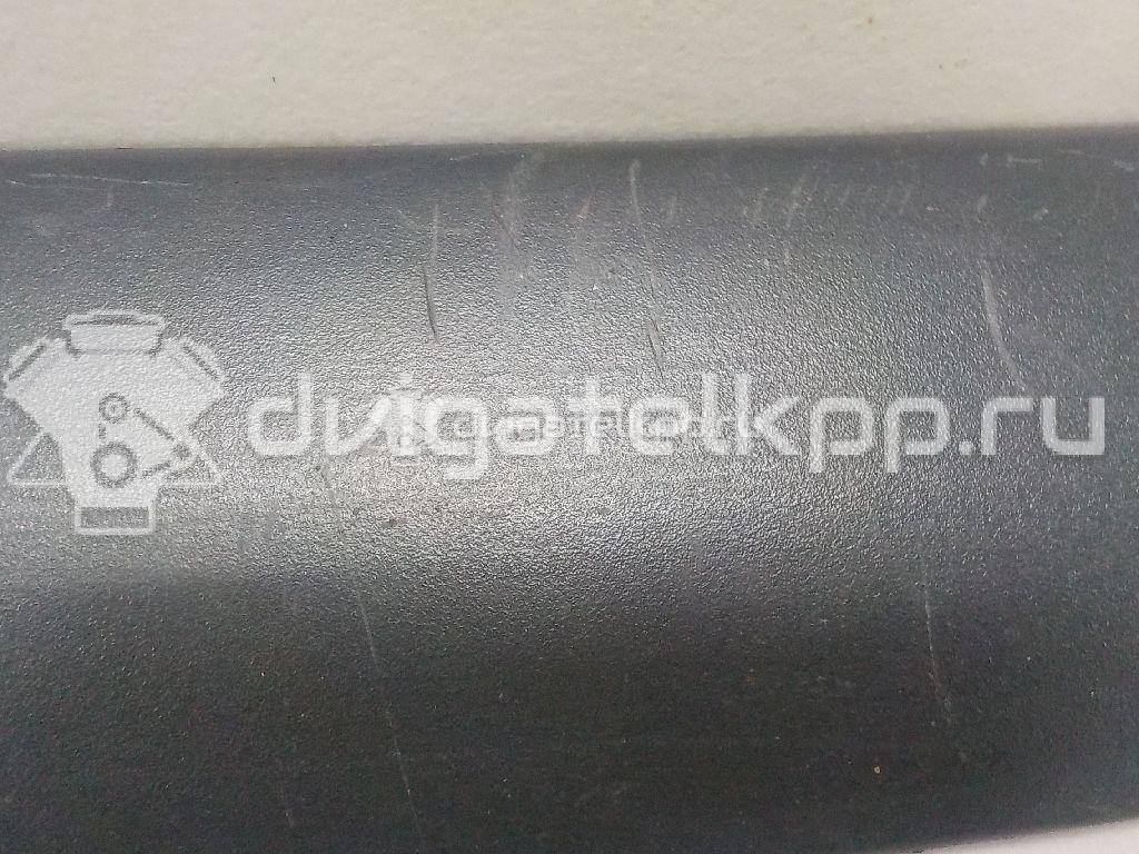 Фото Молдинг передней правой двери  1090842 для Ford Focus {forloop.counter}}