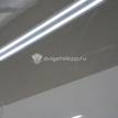 Фото Стекло двери передней левой  1097390 для Ford Focus {forloop.counter}}