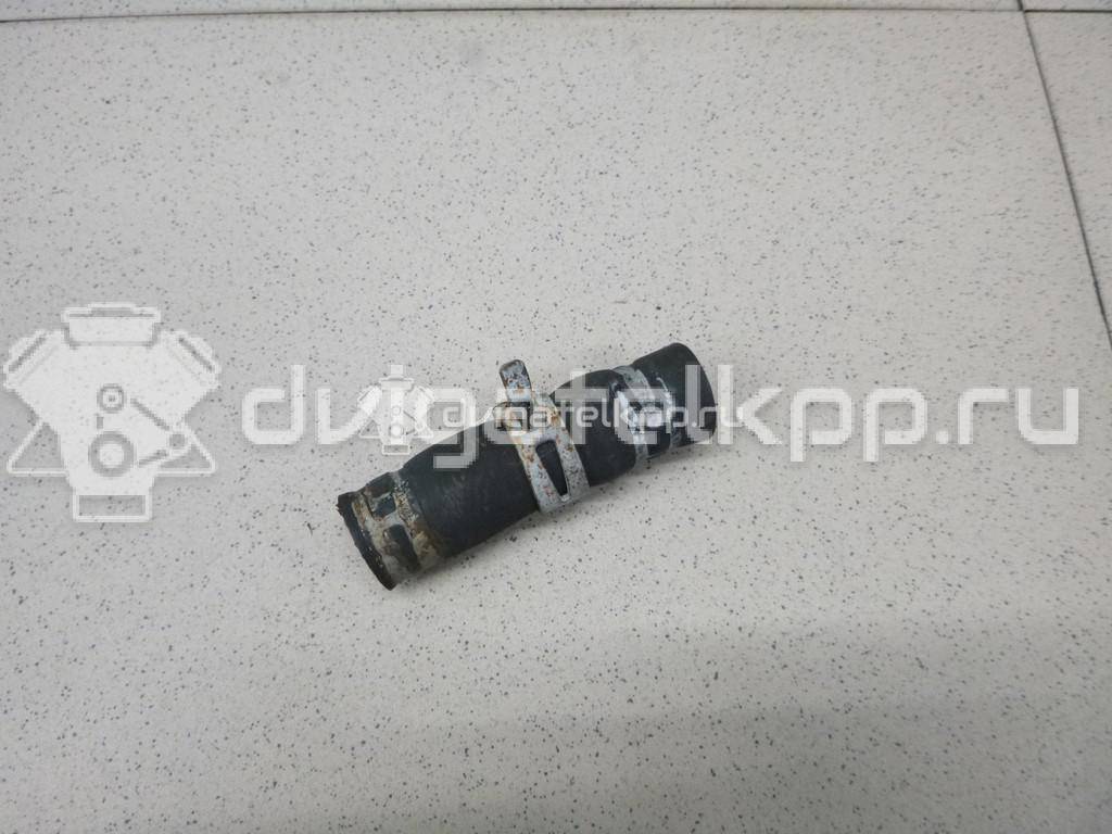 Фото Шланг системы охлаждения  1111839 для Ford Fiesta / Focus / Tourneo / Transit {forloop.counter}}