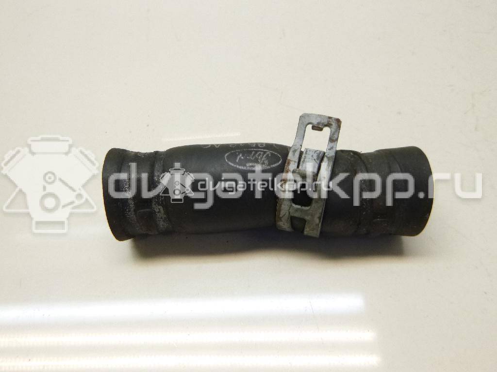 Фото Шланг системы охлаждения  1111839 для Ford Fiesta / Focus / Tourneo / Transit {forloop.counter}}