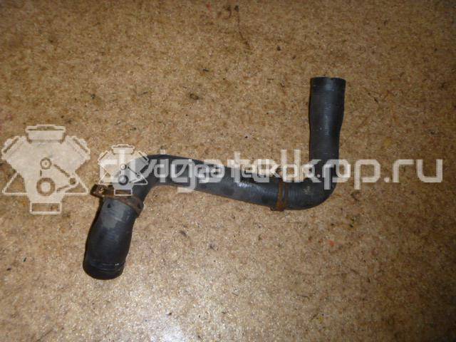 Фото Патрубок радиатора  98ab8b273ef для Ford Focus {forloop.counter}}